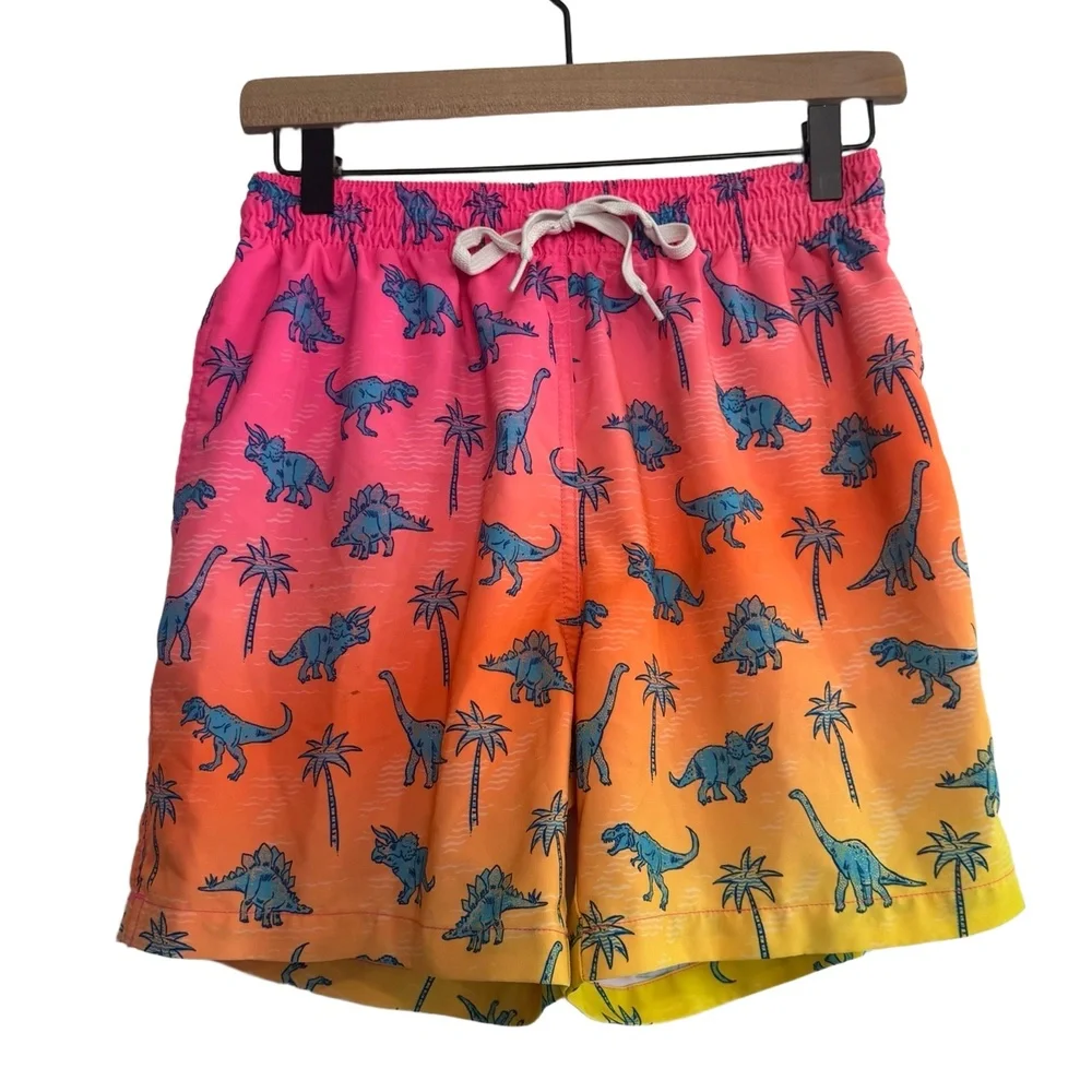 Chubbies Swim Trunks Pink Orange Yellow Gradient Blue Dinosaurs Mesh Lining Sz M